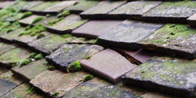 Nympsfield roof repair costs